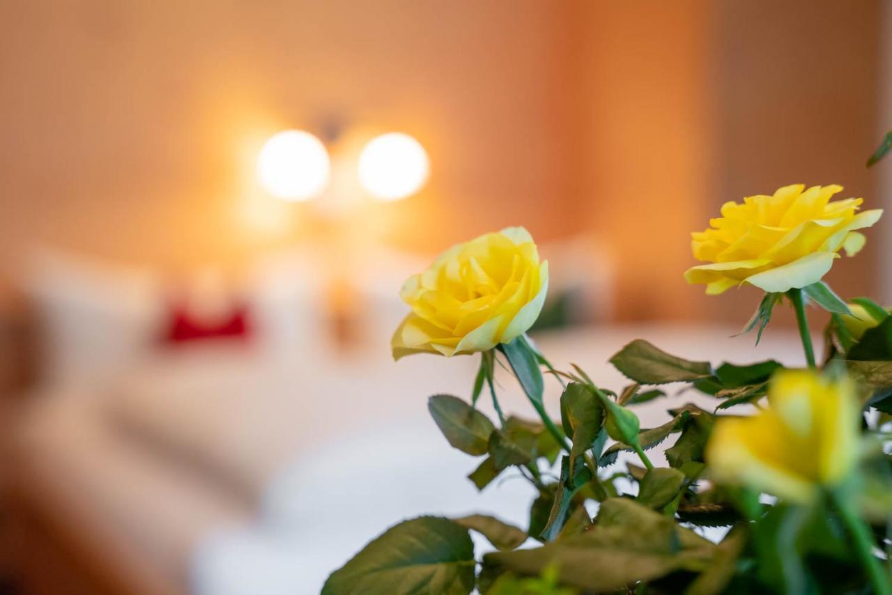 Ferienwohnung Heidi Elmen Buitenkant foto